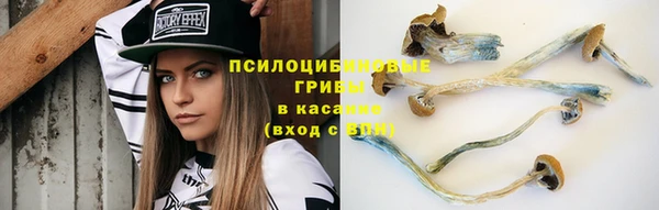героин Алексин