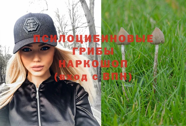 героин Алексин